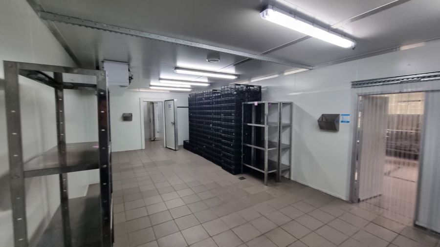 To Let Commercial Property for Rent in Salt River Western Cape